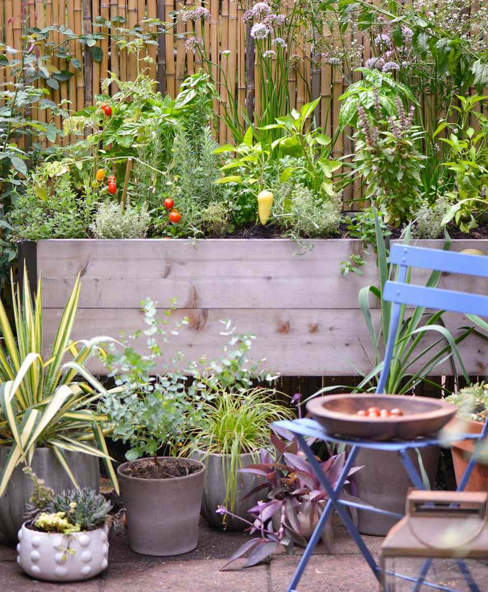 Place Plants Outside in a Sunny, Warm Spot