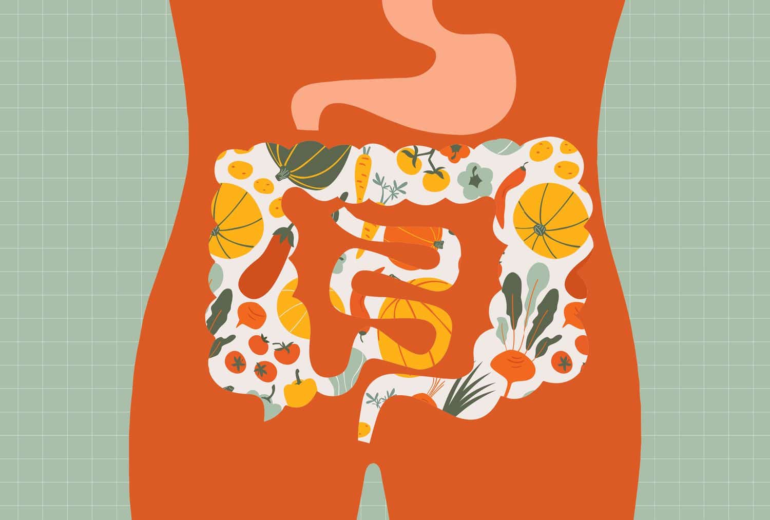 a collage of an illustrated gut and fall vegetables 